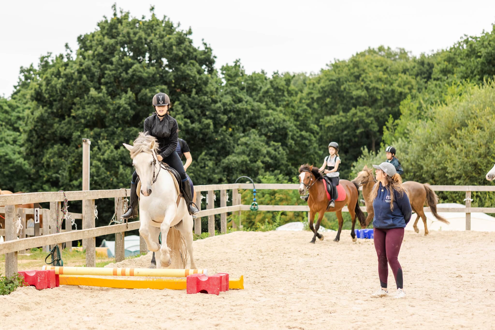 Stage journée d’équitation – Galop 1 à 7