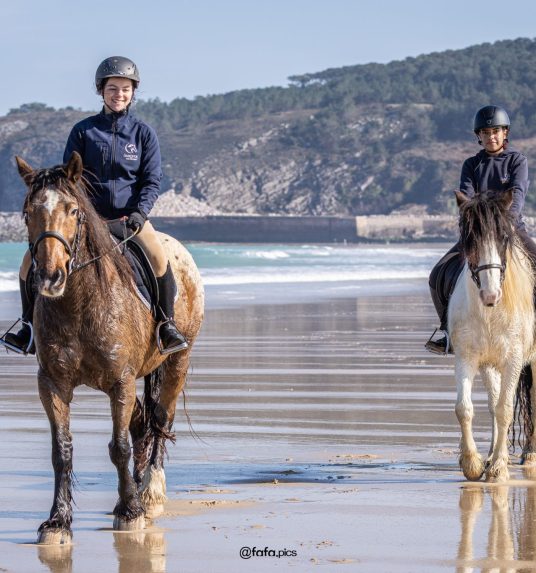 CENTRE EQUESTE 2025-1281