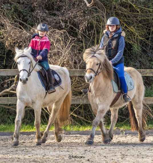 CENTRE EQUESTE 2025-1414